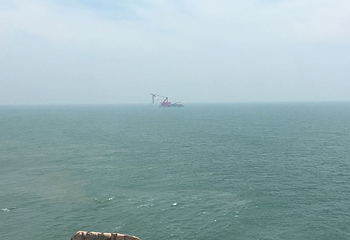青浜第 3 张图片