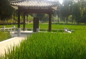 草庐剧场《草庐.诸葛亮》第 19 张图片