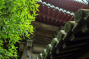 平武报恩寺第 52 张图片