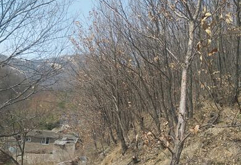 驻马店白云山风景区第 18 张图片
