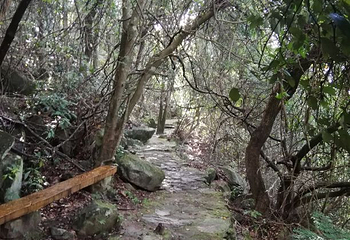 石根山第 24 张图片