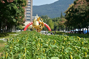 玄武湖景区-情侣园第 14 张图片