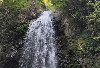梅岭国家级风景名胜区第 35 张图片