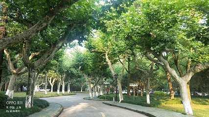 上海师范大学第 13 张图片