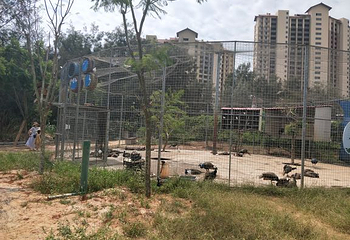 翡翠湾旅游度假中心第 19 张图片