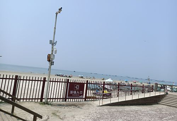 红树林拾贝赶海第 17 张图片