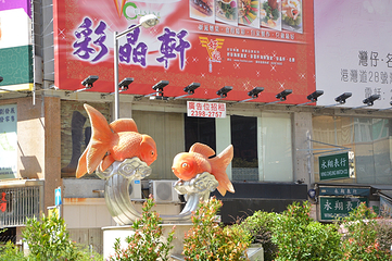 金鱼街第 20 张图片