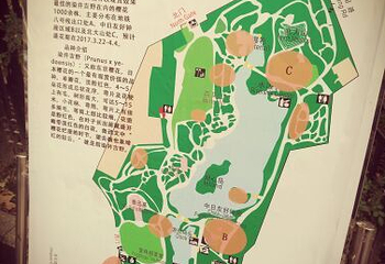 鲁迅公园第 84 张图片