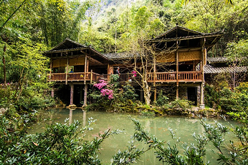 酉阳桃花源景区第 44 张图片