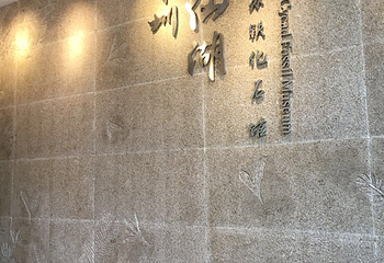 仙湖植物园第 34 张图片