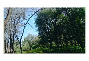 昆明植物园第 33 张图片