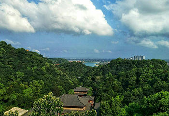 会龙公园第 2 张图片