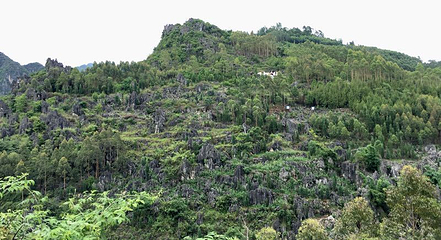 泥凼石林风景区第 22 张图片
