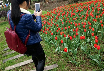 重庆垫江牡丹生态旅游区第 12 张图片