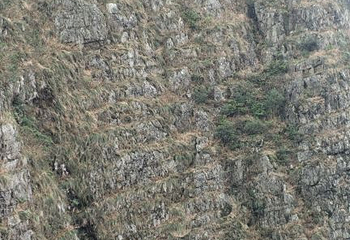 平天山国家森林公园第 14 张图片