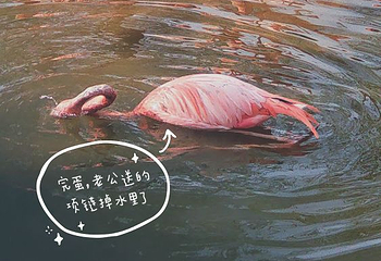 鄂尔多斯野生动物园第 35 张图片
