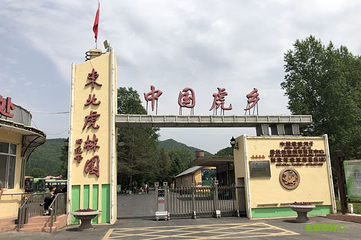 横道河子东北虎林园第 52 张图片