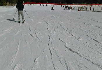 紫柏山国际滑雪场第 35 张图片