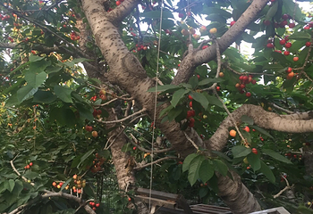 乐动4D动感体验厅（青岛机场店）第 6 张图片
