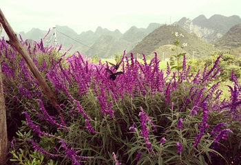 英武山第 30 张图片