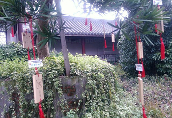 江淮文化园第 15 张图片