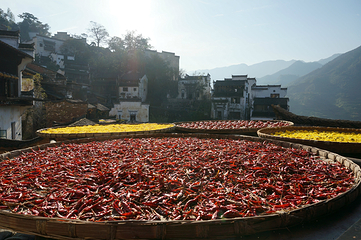 婺源石门峡山野秘境第 63 张图片