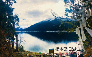 措木及日第 38 张图片