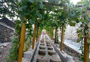 翼云石头部落第 15 张图片