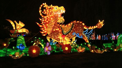 2019盘锦辽河湿地国际灯会第 10 张图片