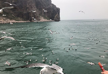 长岛海上游第 56 张图片