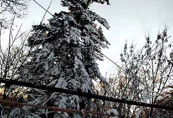 亚布力好汉岭滑雪场第 16 张图片
