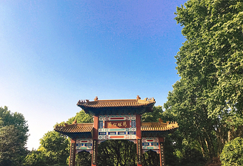 绣球公园第 3 张图片