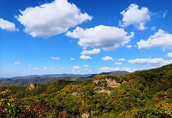 天女山森林公园第 32 张图片