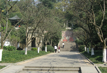 孤山第 35 张图片