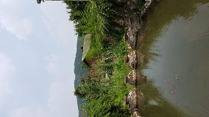 紫海蓝山薰衣草庄园第 24 张图片