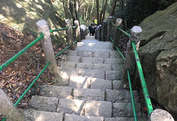 九峰山网岙景区第 11 张图片