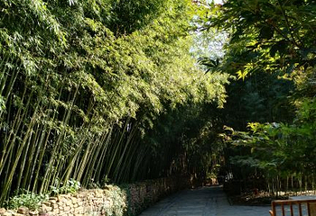 红石寨旅游度假区第 20 张图片