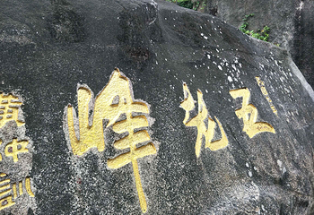 厦门园林植物园-五老峰第 27 张图片
