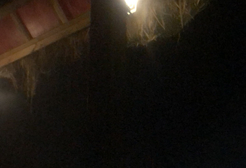 金佛山天星国际温泉城第 34 张图片