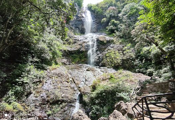 三百山景区第 34 张图片