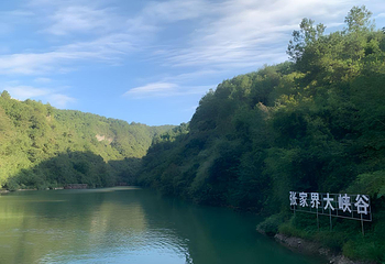 张家界大峡谷第 175 张图片