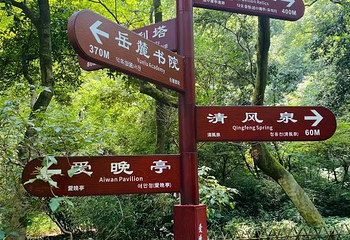 爱晚亭第 18 张图片