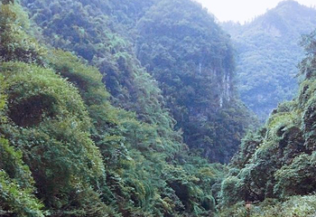 杉木河漂流第 38 张图片