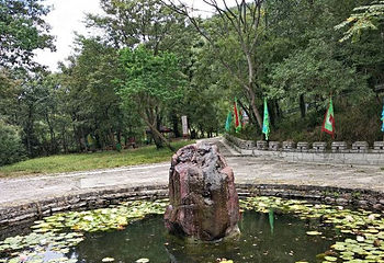 绿林寨景区第 8 张图片