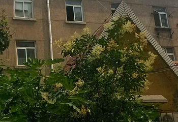 海云庵第 11 张图片