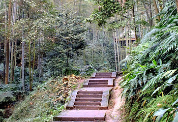 蜀南竹海风景名胜区-忘忧谷第 20 张图片