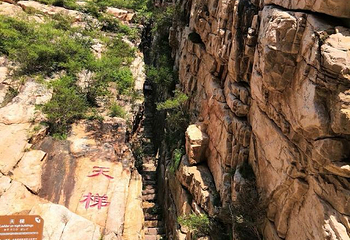 八仙山自然保护区第 27 张图片