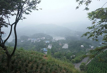 南湖多彩植物园第 55 张图片