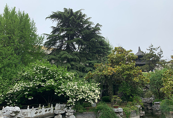 琼花观(文昌中路)第 27 张图片