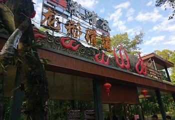 孔雀谷第 41 张图片